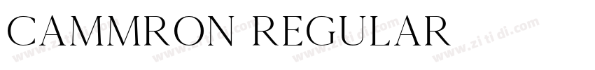 Cammron Regular字体转换